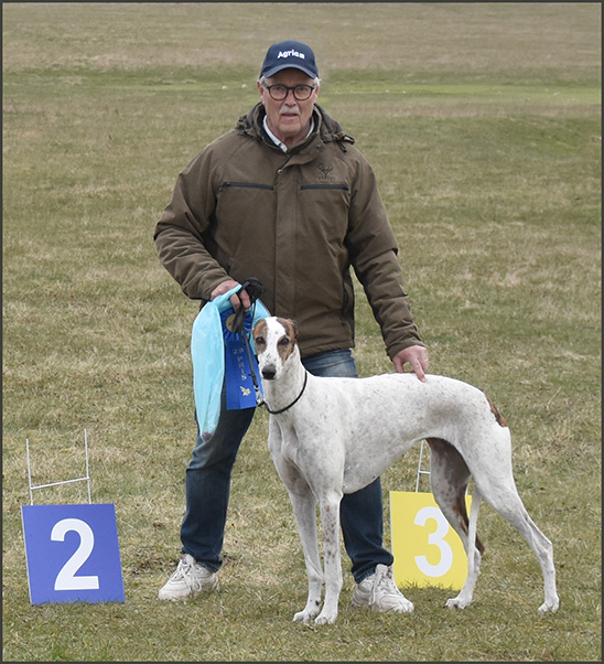 FCI World Championship and CSS World Winner event 2022 - Lure Coursing