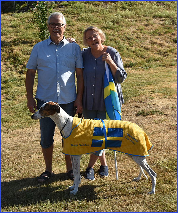 FCI World Championship and CSS World Winner event 2022 - Lure Coursing